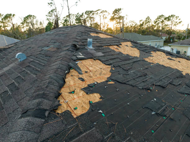Best Roof Insulation Installation  in Westernport, MD